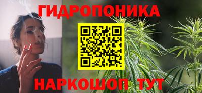 индика Ипатово