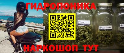 индика Ипатово